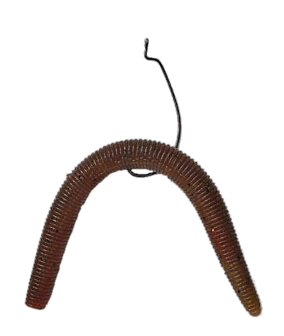 Plastic Worm Fishing Bait