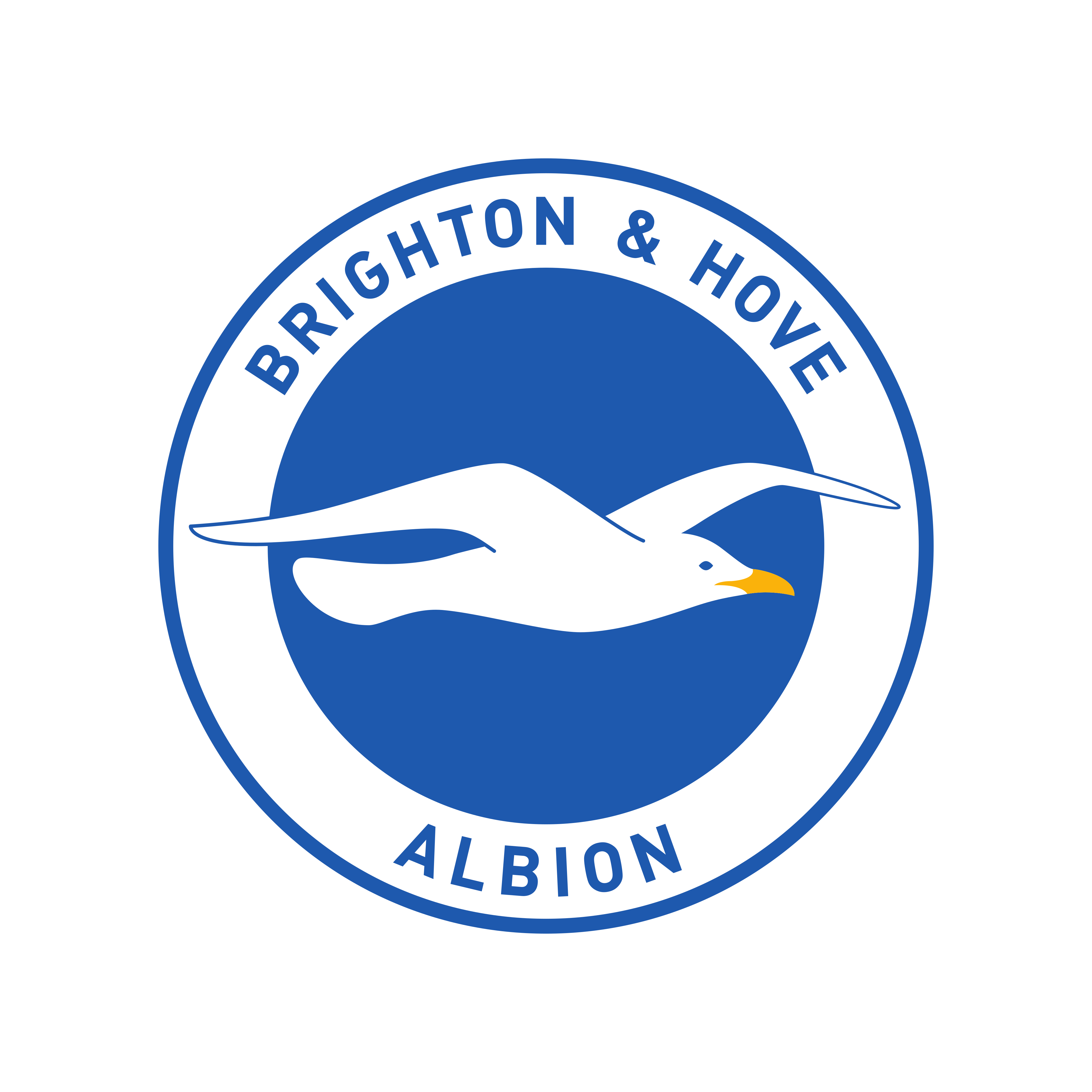 Brighton & Hove Albion Fc