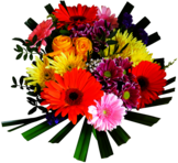 Brightly Coloured Bouquet