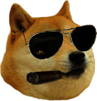 Doge Cigar and Glasses