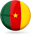 Cameroon Icon Flag
