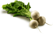 Turnip Small