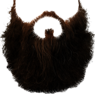 Mustache Brown Beard