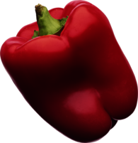 Red Pepper