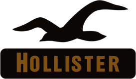 Hollister Co.