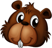 Beaver Face