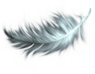 White Feather