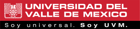 Universidad Del Valle De Mexico