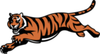 Cinncinati Bengals
