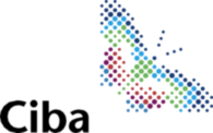 CIBA SPECIALTY CHEMICALS 1