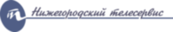 Nizhegorodsky Telesevice