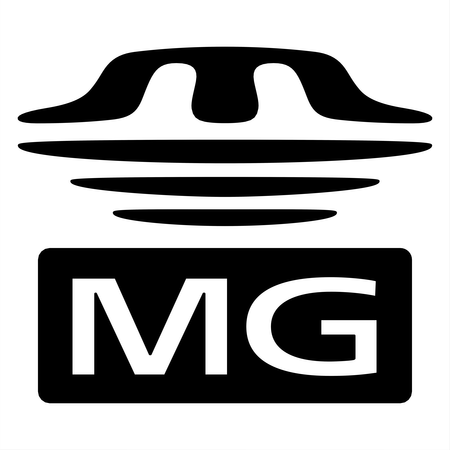 Memory Stick MG