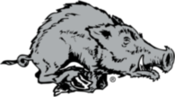 Arkansas Razorback 43413