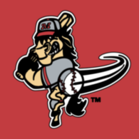 Billings Mustangs