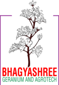 Bhagyashree Geranium and Agrotech