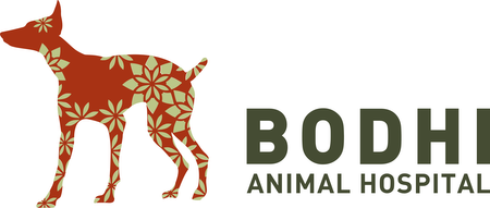 Bodhi Animal Hospital