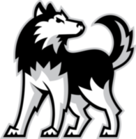 Niu Huskies