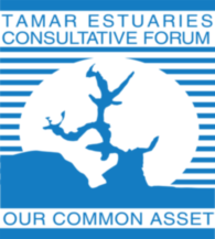 Tamar Estuaries Forum