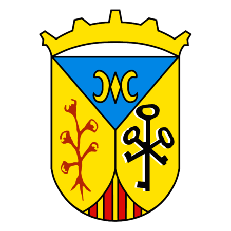 Escudo Ariany