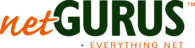 netGURUS LLC