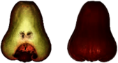 Sliced Water Apple
