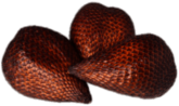 Small Snake Fruit