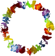 Colourful Hawaiian Flower Necklace