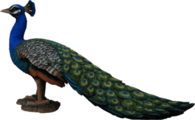 Peacock Garden Ornament