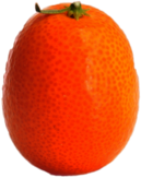 Whole Kumquat