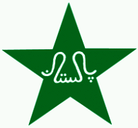 Iguanas Paintball Team 