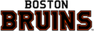 Boston Bruins