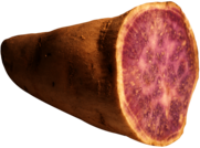Large Yam Chunk