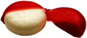 Opened Babybel Cheese