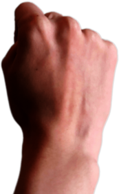 Clenched Fist Upward