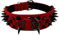 Red Spiked Dog Collar