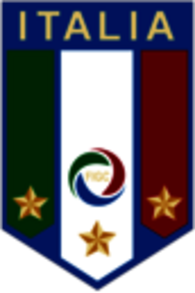 Federazione Italiana Gioco Calcio
