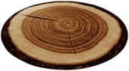 Tree Trunk Cross Section Mat