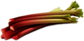 Bundle Of Rhubarb