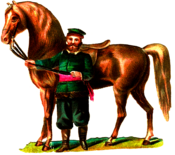 Vintage Horse and Rider