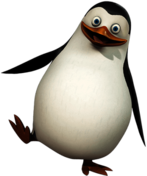 Madagascar Penguin Private