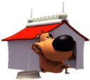 Loopdidoo In Front Of His Dog House