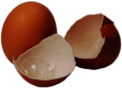 Two Eggshells