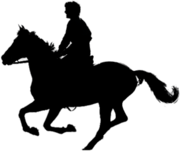War Horse Silhouette