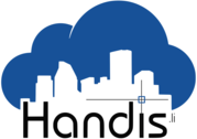 Handis