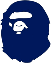 BAPE blue 