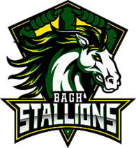 Bagh Stallions 