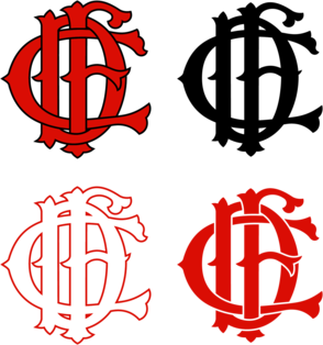 Chicago Fire Dept. Icon