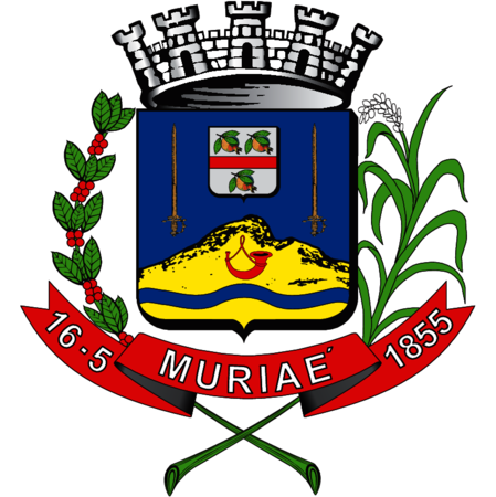 Brasão de Muriaé / MG / Brasil