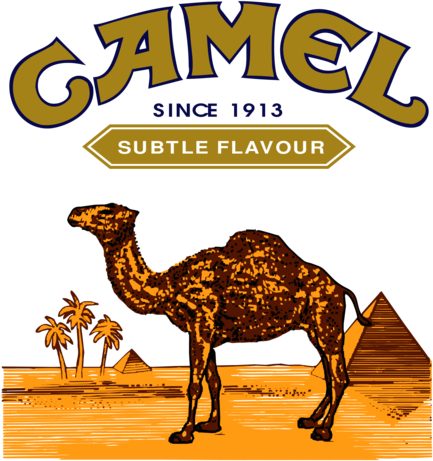 Camel
