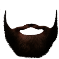 Light Brown Beard